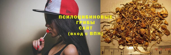 молекула духа Алексеевка