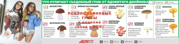 ECSTASY Абаза
