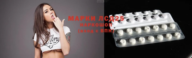 молекула духа Алексеевка
