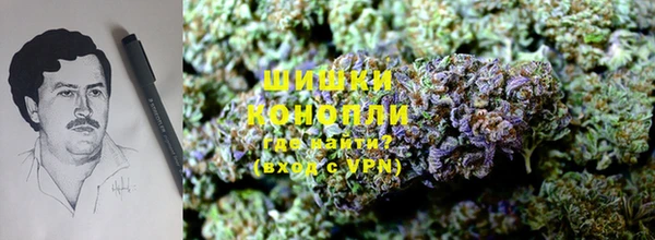 молекула духа Алексеевка