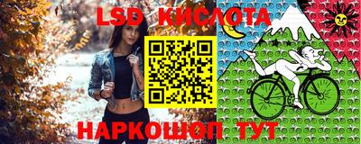 ECSTASY Пушкино