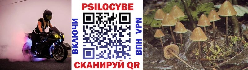 кракен онион  Ухта  Галлюциногенные грибы мухоморы 