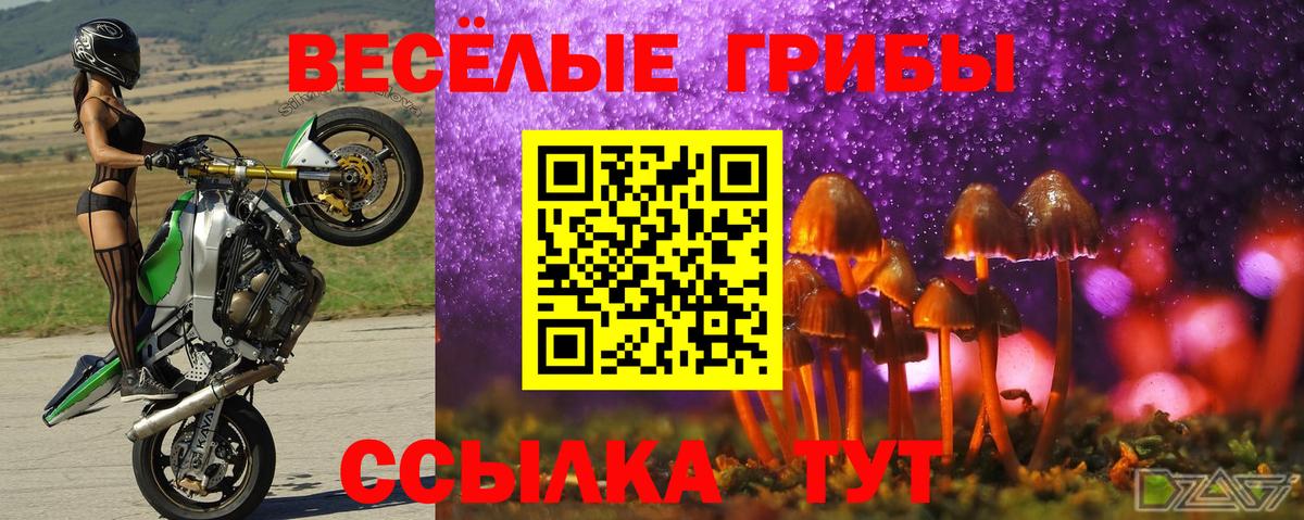 Ухта  Галлюциногенные грибы ЛСД  Вход с VPN 