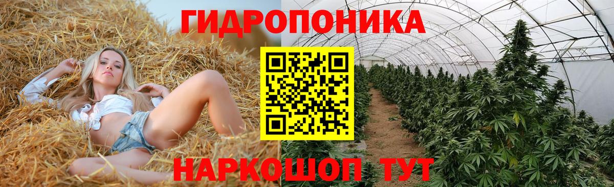 Бошки Шишки Ganja  Вход с VPN  Ухта  Бошки марихуана VHQ 